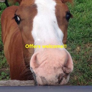 Hurray to my sale!! 👍